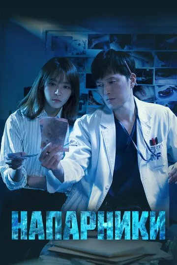 Напарники (сериал) смотреть онлайн