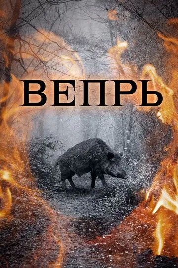 Вепрь (сериал) смотреть онлайн