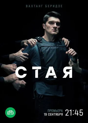 Стая (сериал) смотреть онлайн