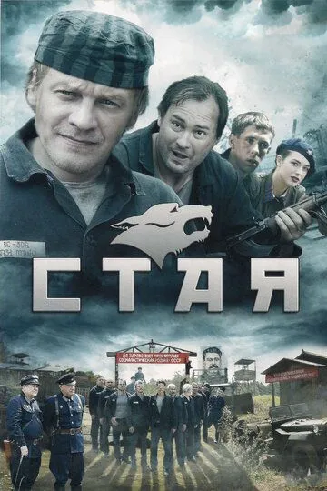 Стая (сериал) смотреть онлайн