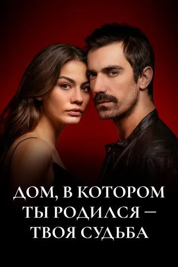 Дом, в котором ты родился - твоя судьба (сериал) смотреть онлайн