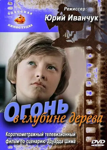 Огонь в глубине дерева (1978) смотреть онлайн