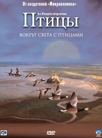 Птицы (2001) смотреть онлайн