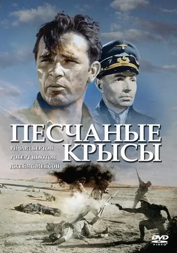 Песчаные крысы (1953) смотреть онлайн