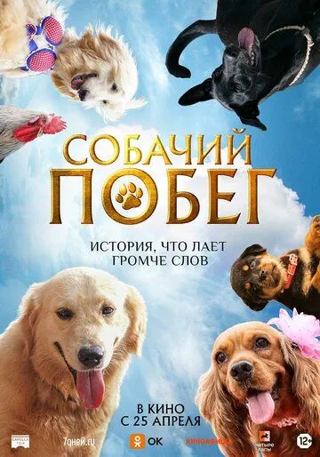 Собачий побег (2023) смотреть онлайн