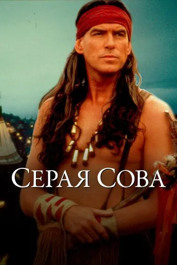 Серая сова (1998) смотреть онлайн