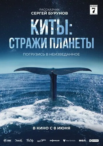 Киты: Стражи планеты (2023) смотреть онлайн