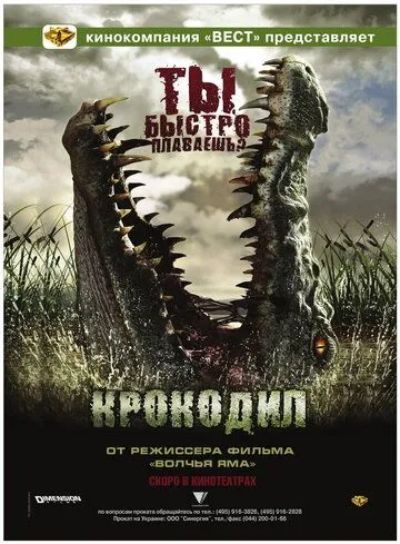 Крокодил (2006) смотреть онлайн