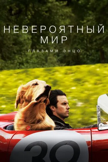 Невероятный мир глазами Энцо (2019) смотреть онлайн