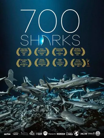 700 акул (2019) смотреть онлайн