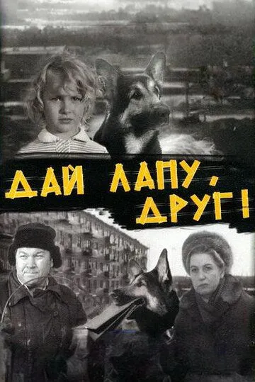 Дай лапу, Друг (1967) смотреть онлайн