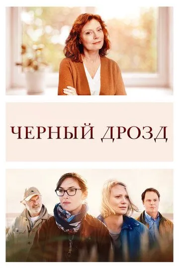 Чёрный дрозд (2019) смотреть онлайн