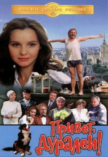 Привет, дуралеи! (1996) смотреть онлайн