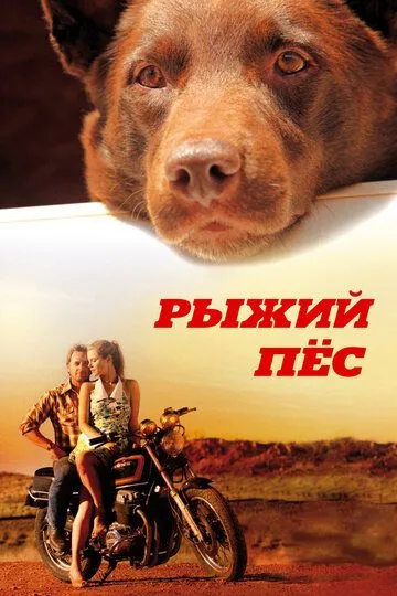 Рыжий пес (2011) смотреть онлайн