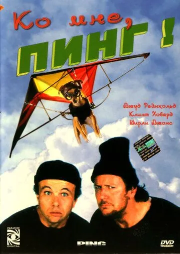 Ко мне, Пинг! (2000) смотреть онлайн