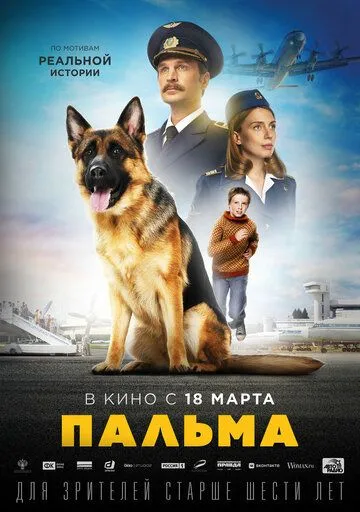 Пальма (2020) смотреть онлайн