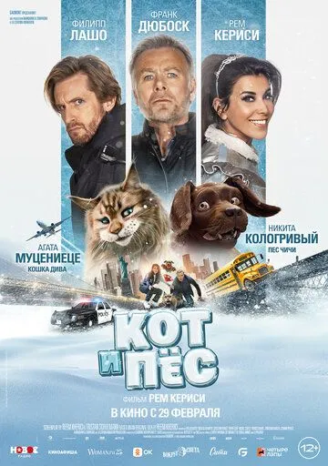 Кот и пёс (2024) смотреть онлайн